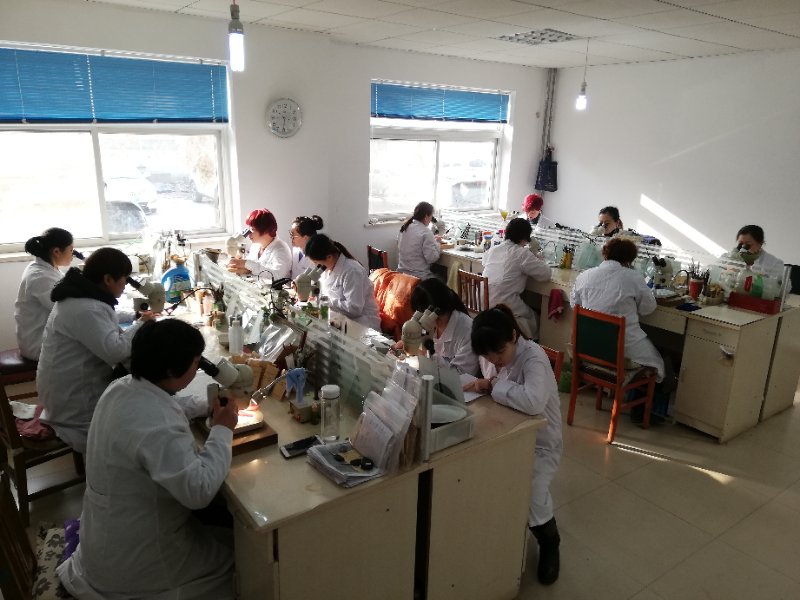 我們的團(tuán)隊(duì) (2)